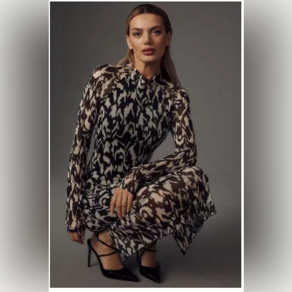 NWT!  Anthropologie Mesh Long Sleeve Midi Dress Size Small